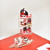 Air Jordan 1 Mini Sneakers Collection with Display Storage Case